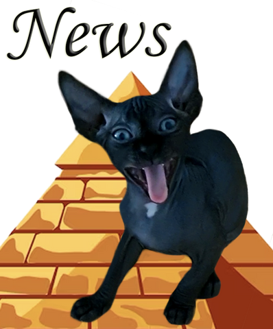 News de la chatterie